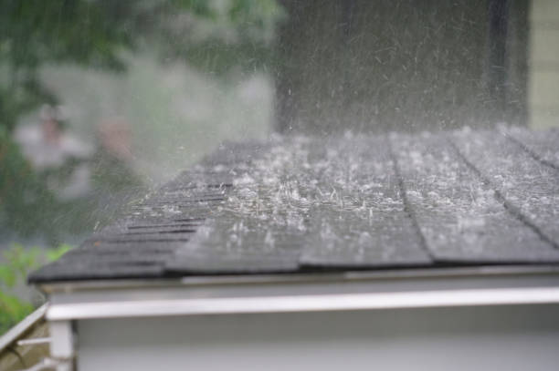 Best Slate Roofing  in Plattsburgh, NY