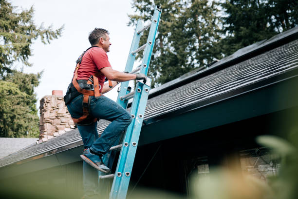 Best Siding  in Plattsburgh, NY