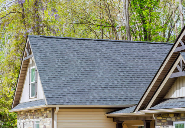 Best Roof Moss and Algae Removal  in Plattsburgh, NY
