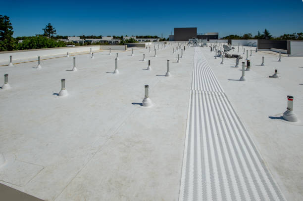 Best Roof Maintenance and Cleaning  in Plattsburgh, NY